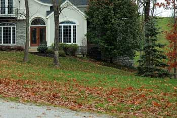 Property with leaves in Forest Hill, MD before a fall cleanup service.